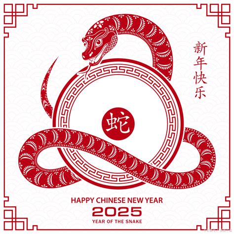 2025年是什么生肖|2025年生肖运势：2025年十二生肖运势详解、2025蛇年运势